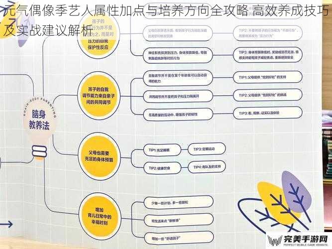 元气偶像季艺人属性加点与培养方向全攻略 高效养成技巧及实战建议解析